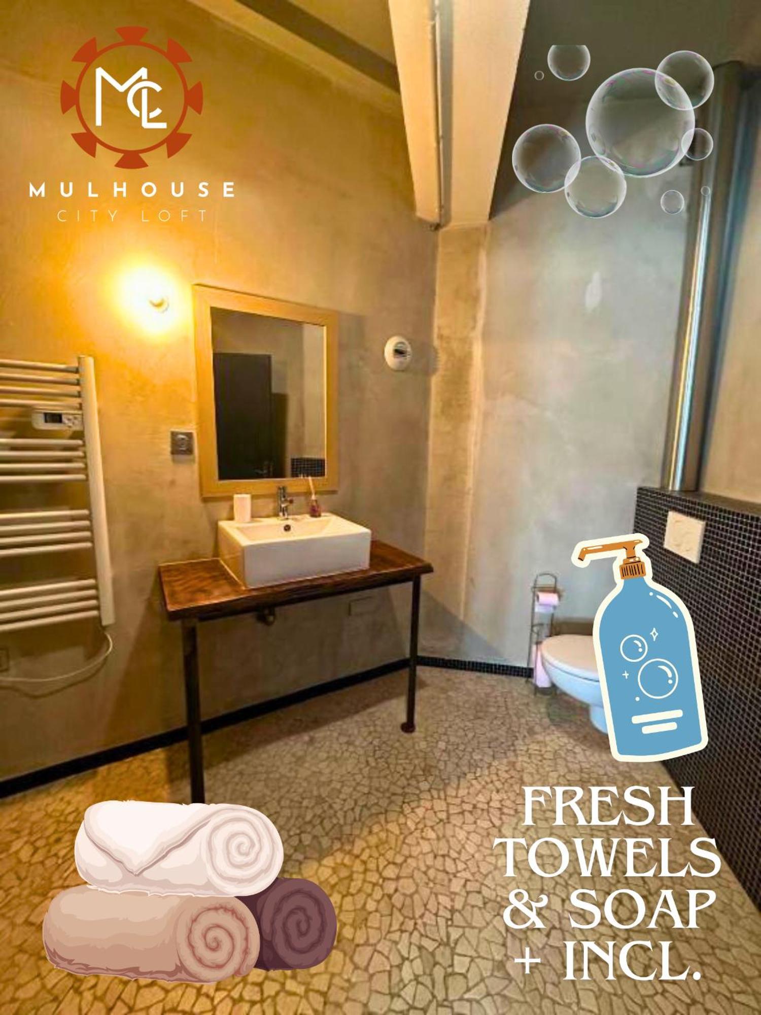 Mulhouse City Loft エクステリア 写真